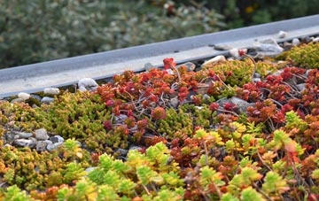 the cost of Thorpe Thewles green roof installation