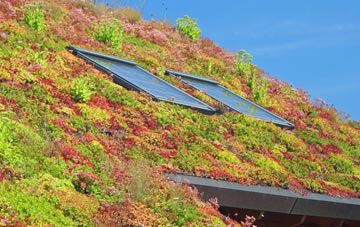Thorpe Thewles living roof systems