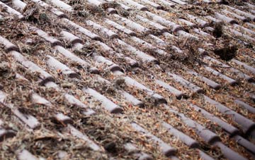 Thorpe Thewles roof cleaning companies